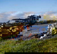 Tourist Drive 28 - Hinterland - Accommodation Tasmania