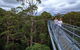 Valley Of The Giants Tree Top Walk - thumb 2