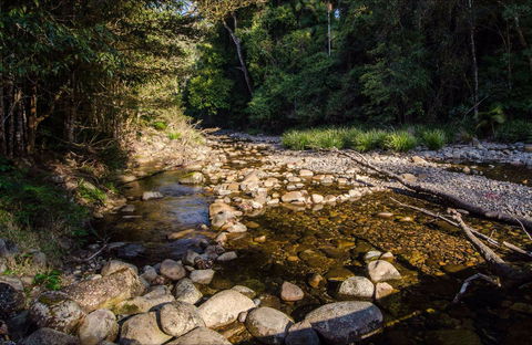 Wilson River Picnic Area - Accommodation Tasmania 0