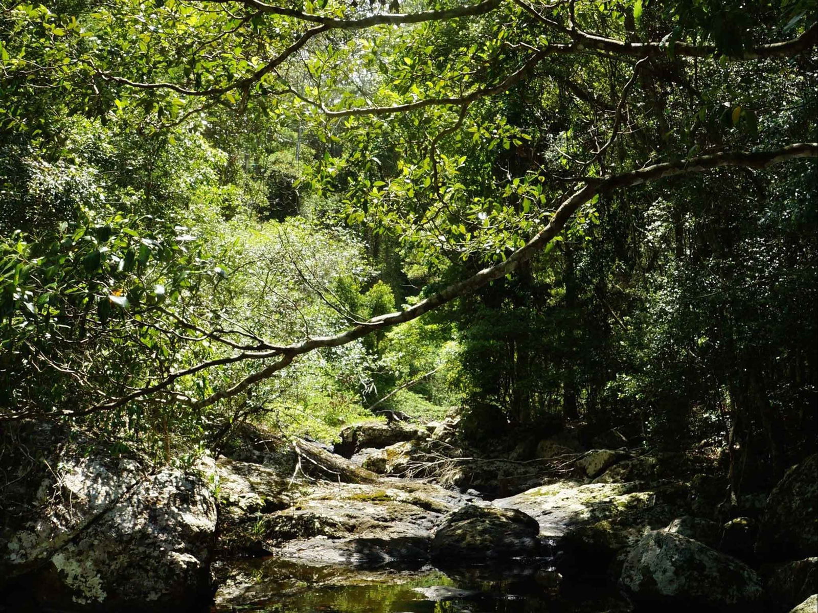 Witta QLD Accommodation Tasmania