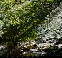 Witta - Accommodation Tasmania