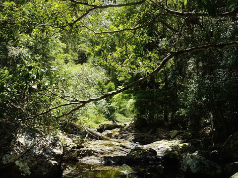 Witta - Accommodation Tasmania 0