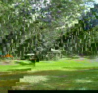 Woolgoolga Creek Picnic Area - Accommodation Tasmania