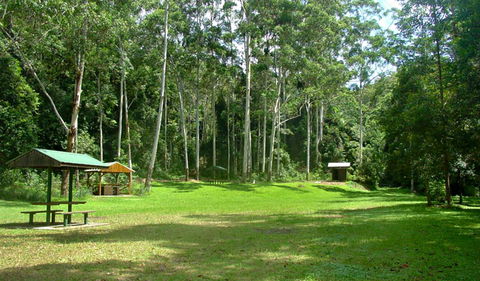 Woolgoolga Creek Picnic Area - Accommodation Tasmania 0