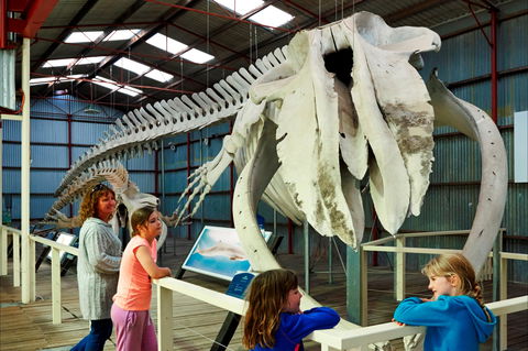 Albany's Historic Whaling Station - Accommodation Tasmania 2