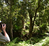 Alfred National Park - Accommodation Tasmania