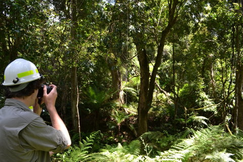 Alfred National Park - Accommodation Tasmania 0