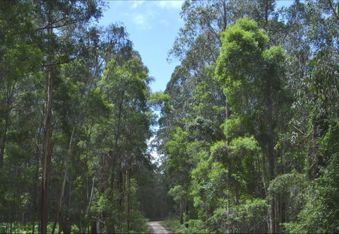 Alfred National Park - Accommodation Tasmania 1