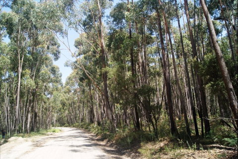 Alfred National Park - Accommodation Tasmania 2