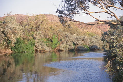 Alligator / Crocodile Hole - Accommodation Tasmania 0