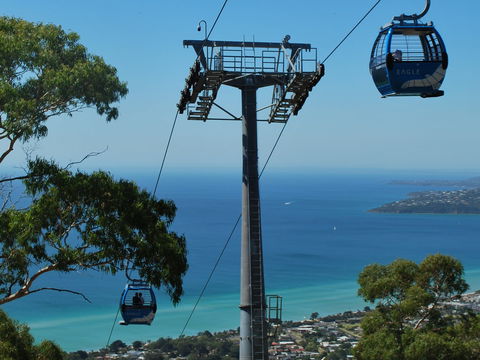 Arthurs Seat Eagle - Accommodation Tasmania 2