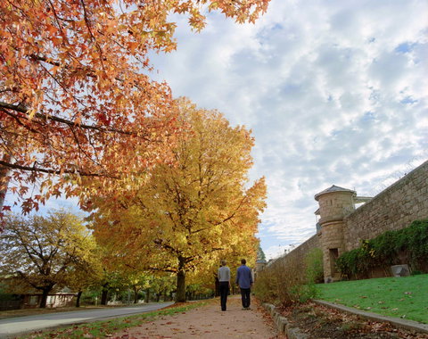 Beechworth - Accommodation Tasmania 1