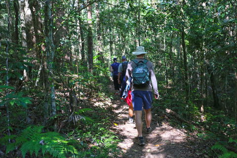 Booloumba Falls Walk, Conondale National Park - Accommodation Tasmania 1