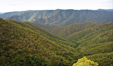 Budds Mare To Riverside Walking Track - Accommodation Tasmania 0