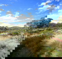 Bullocks walking track - Accommodation Tasmania