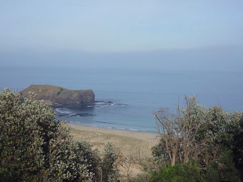 Bushrangers Bay - Accommodation Tasmania 0