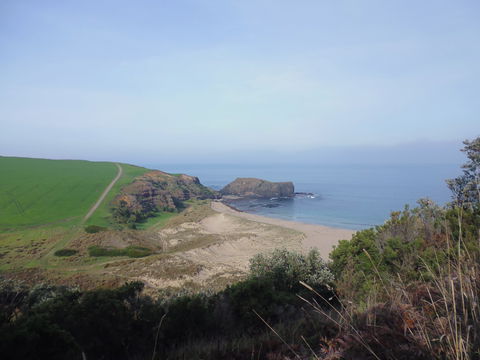 Bushrangers Bay - Accommodation Tasmania 1