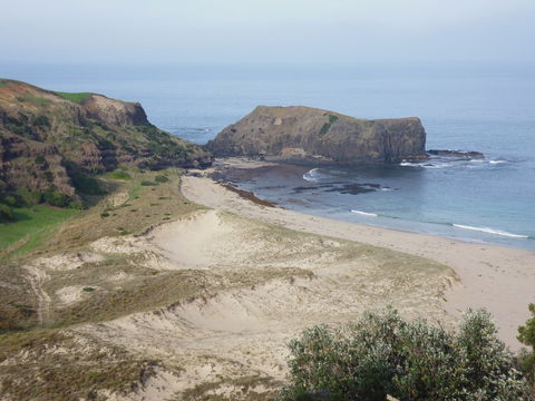 Bushrangers Bay - Accommodation Tasmania 2