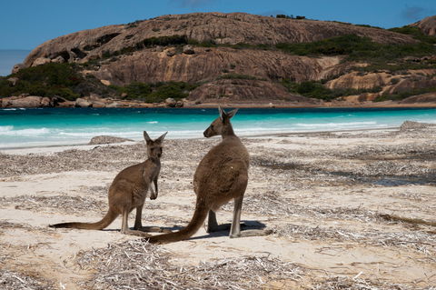 Cape Le Grand National Park - Accommodation Tasmania 0