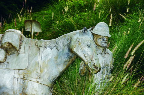 Centenary Park - Accommodation Tasmania 0