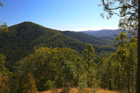 Conondale National Park - Accommodation Tasmania 0