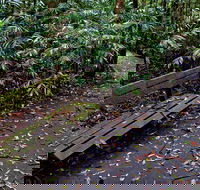 Coombadjha Nature Stroll - Accommodation Tasmania