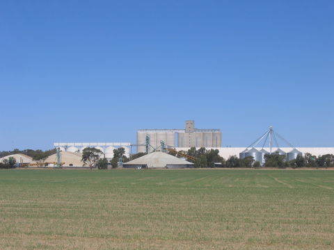 Co-operative Bulk Handling (CBH) Wheat Storage And Transfer Depot - Accommodation Tasmania 1