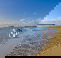 Eurobodalla - Accommodation Tasmania