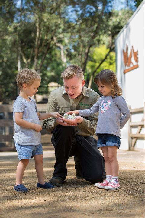 Featherdale Wildlife Park - Accommodation Tasmania 2