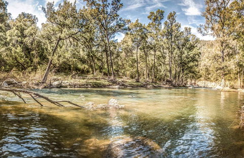 Flea Creek Picnic Area - Accommodation Tasmania 0