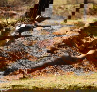 Freycinet Paintball and Campground - Accommodation Tasmania