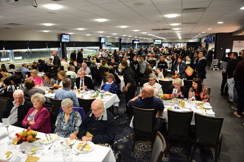 Geelong Greyhound Racing Club - The Beckley Centre - Accommodation Tasmania 1