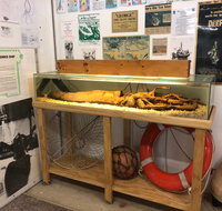 George The Giant Squid Display Wallaroo - Accommodation Tasmania