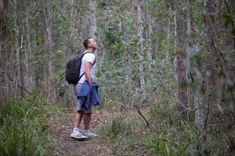 Ironbark Ridge And Spotted Gum Walking Trails - Accommodation Tasmania 2