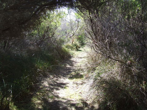 Jack And Hilda McArthur Walk - Accommodation Tasmania 0