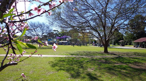 Koshigaya Park - Accommodation Tasmania 0