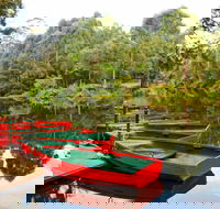 Lane Cove National Park - Accommodation Tasmania