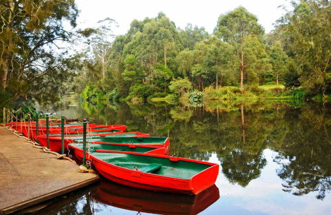 Lane Cove National Park - Accommodation Tasmania 0