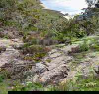 Lynchs Loop Trail - Accommodation Tasmania