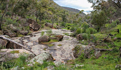 Lynchs Loop Trail - Accommodation Tasmania 0