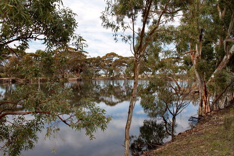 Merredin Railway Dam - Accommodation Tasmania 0