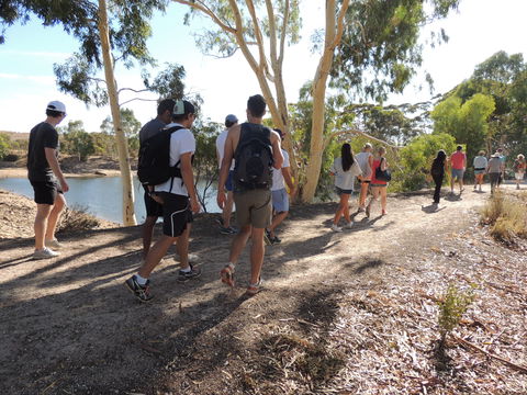 Merredin Railway Dam - Accommodation Tasmania 1