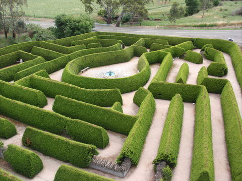 Mintaro Maze - Accommodation Tasmania 0
