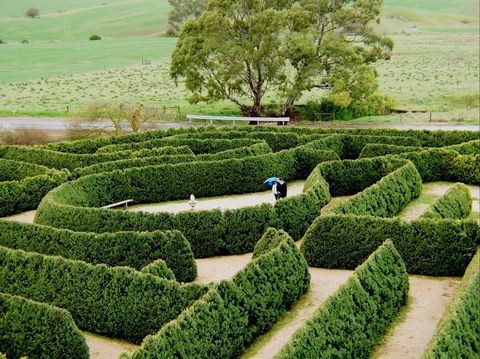 Mintaro Maze - Accommodation Tasmania 1