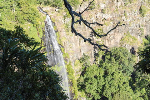 Morans Falls Track, Lamington National Park - Accommodation Tasmania 0