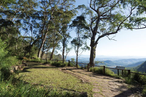 Morans Falls Track, Lamington National Park - Accommodation Tasmania 1