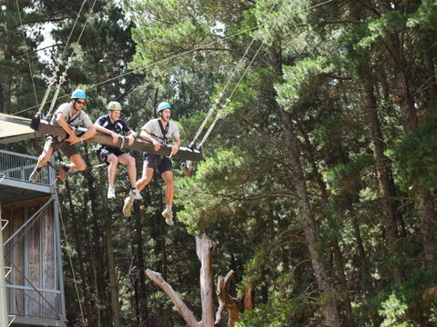 Mount Lofty Adventure Hub - Accommodation Tasmania 1