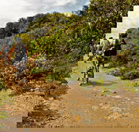 Mountain Biking Trails - Accommodation Tasmania