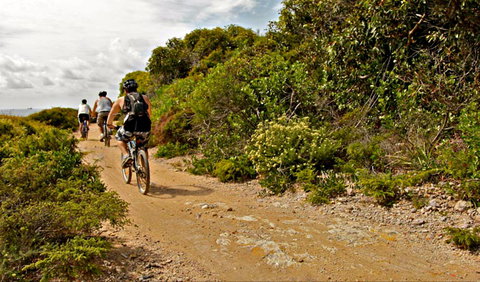 Mountain Biking Trails - Accommodation Tasmania 0