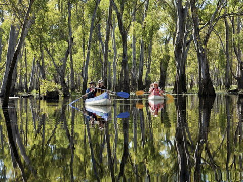 Murray River Canoe Trails - Accommodation Tasmania 0
